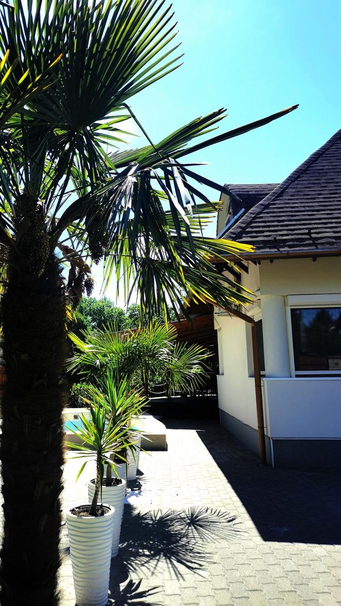 House4U Villa Balatonszárszó Екстериор снимка